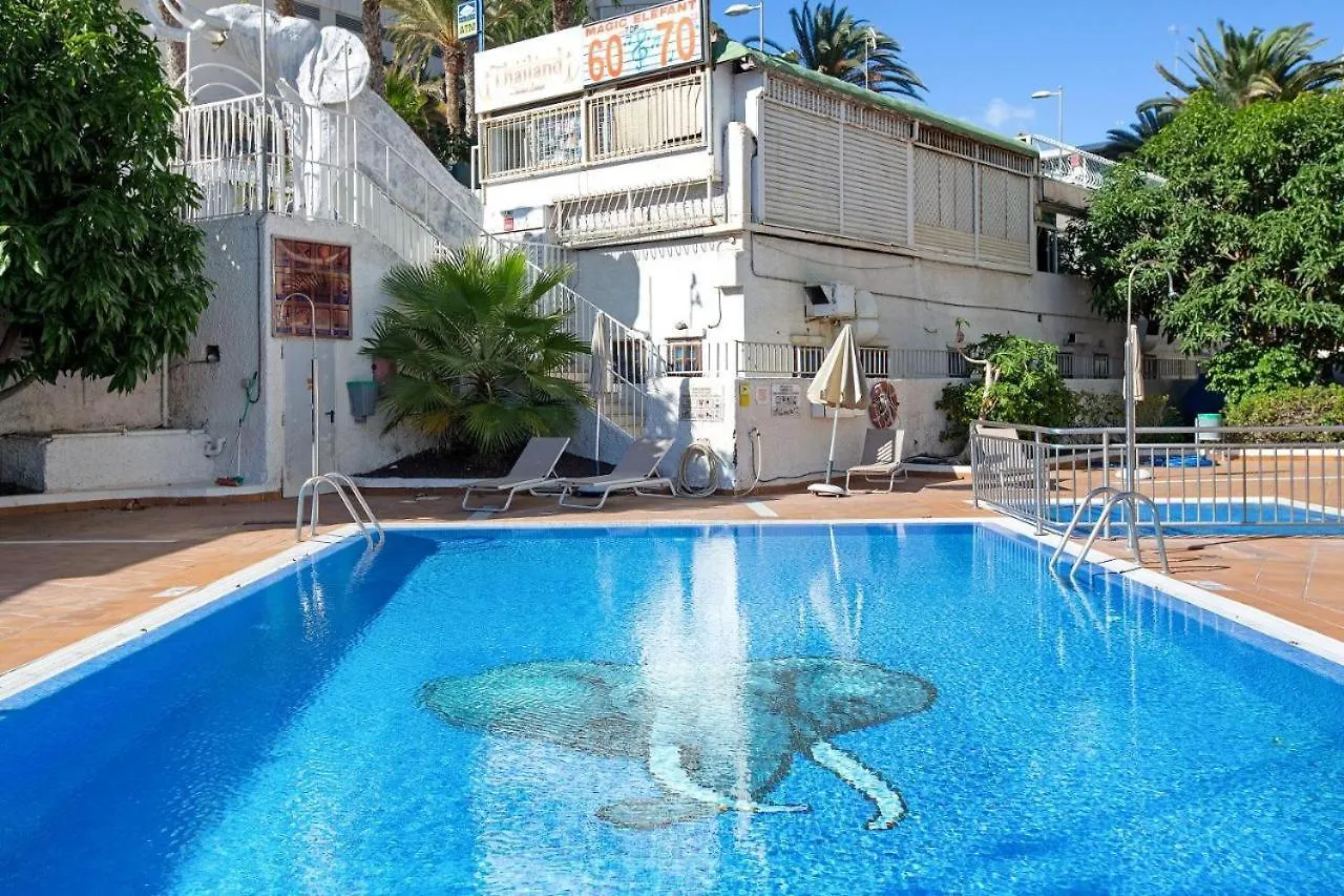In The Heart Of Playa Del Ingles Apartment San Bartolome de Tirajana   San Bartolome de Tirajana (Gran Canaria)